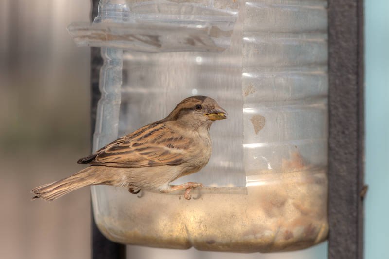 waste disposal London